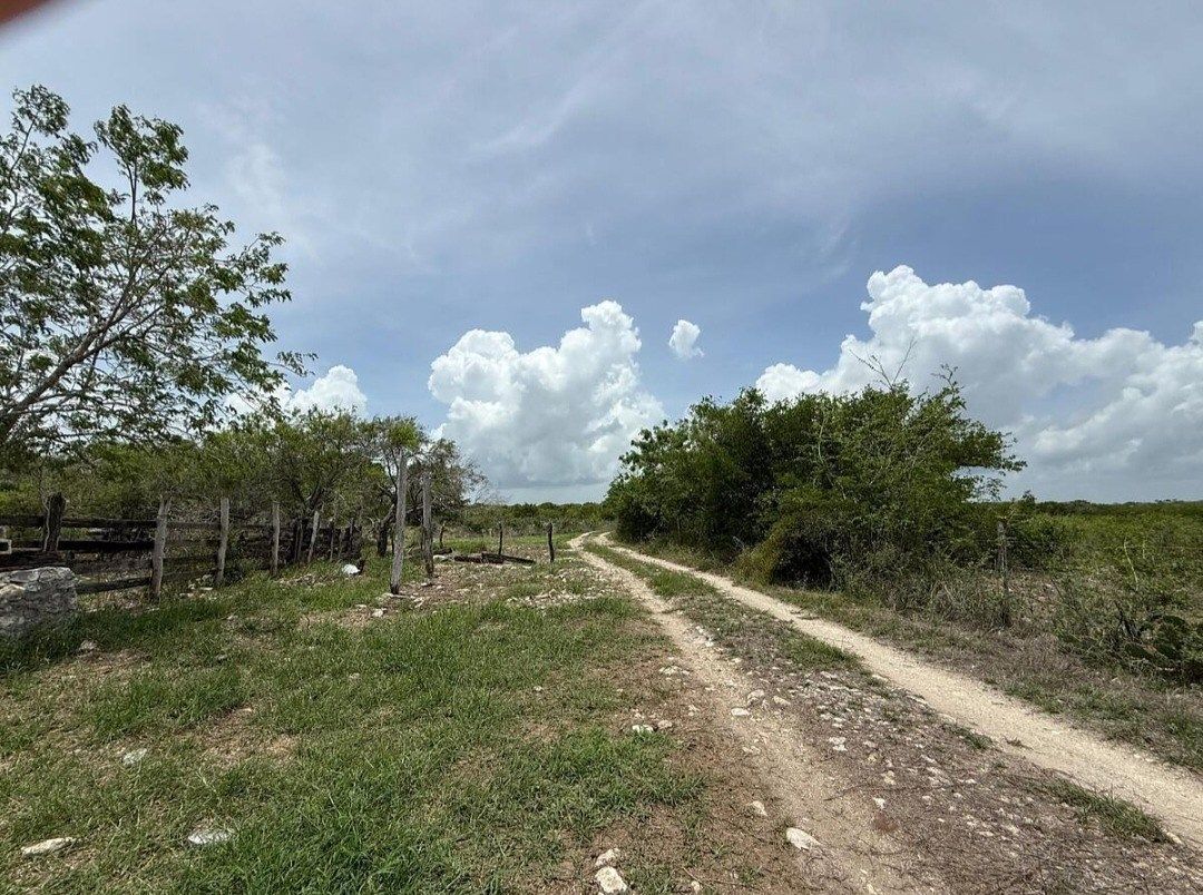 Lote em Tixkokob, Tixkokob, foto 13 de 18