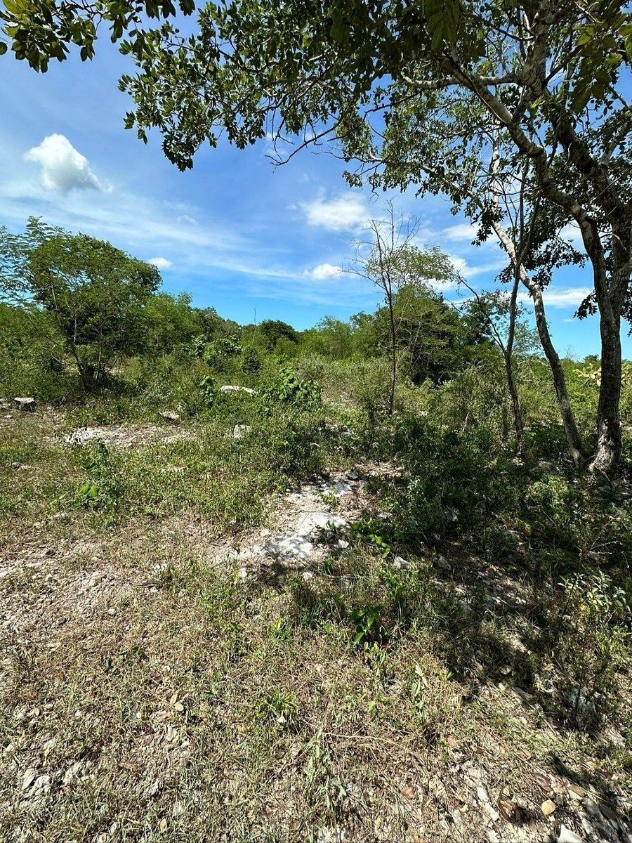 Lote em Tixkokob, Tixkokob, foto 17 de 18
