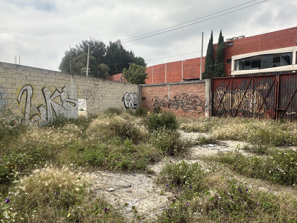 5 de 14