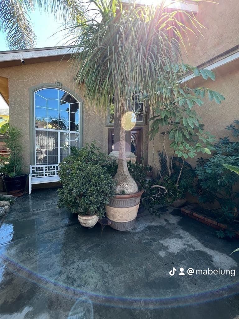 Casa en Jardín Dorado, Tijuana, foto 8 de 24