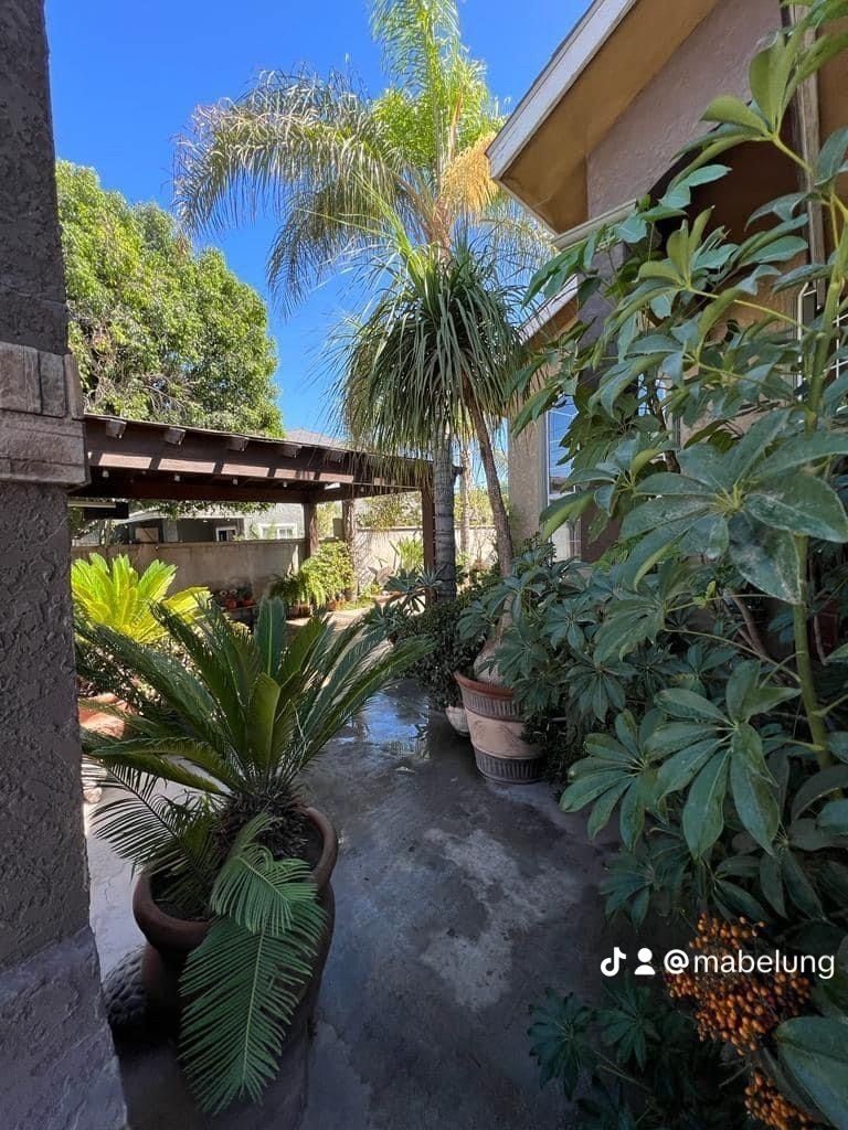 Casa en Jardín Dorado, Tijuana, foto 9 de 24