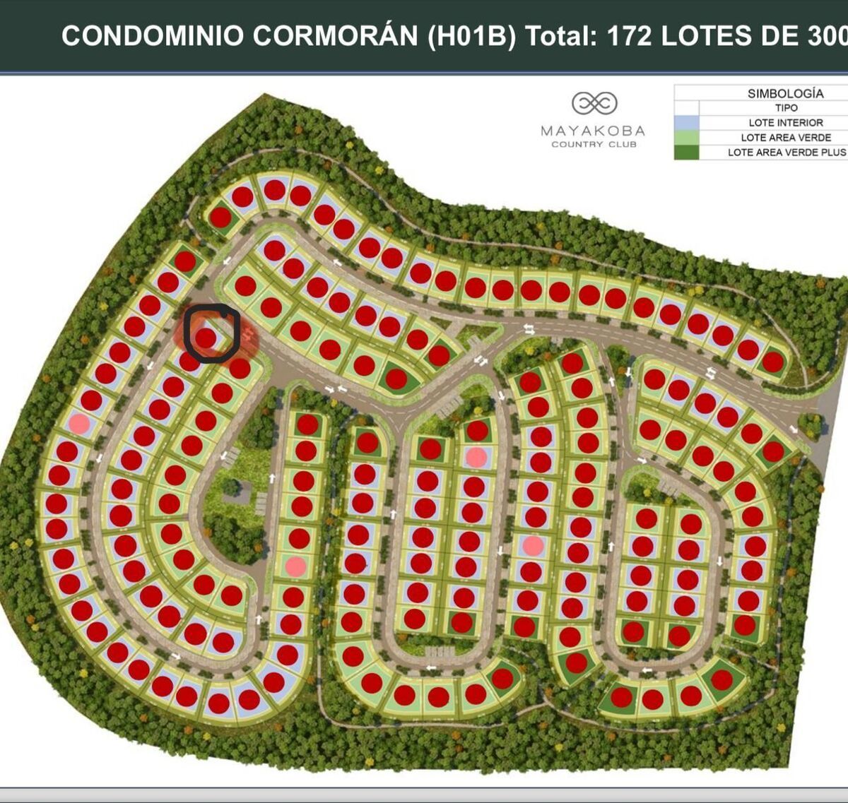 3 of 8: Lote en esquina