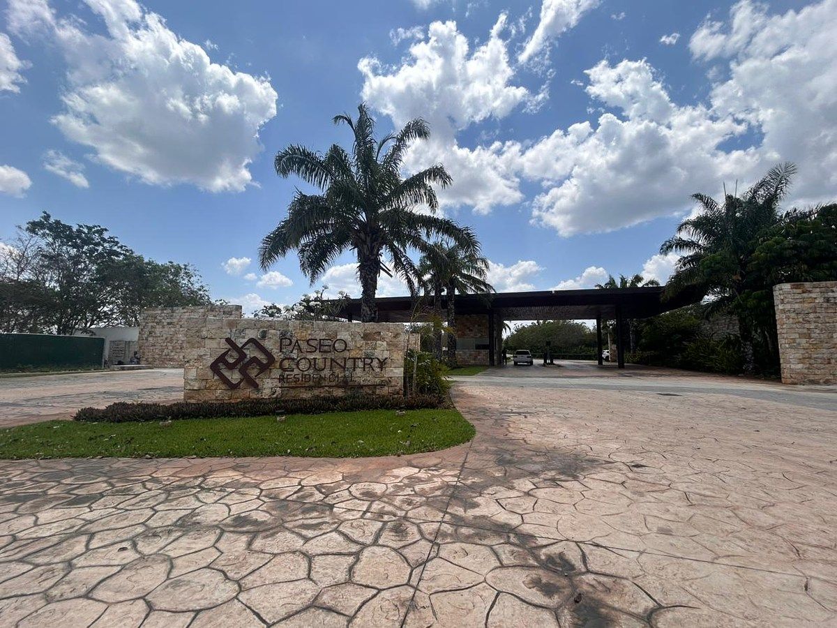 11 de 21