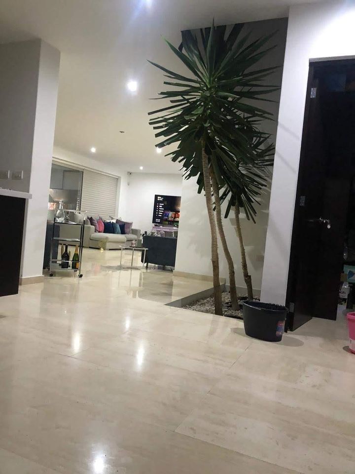 4 de 18: VISTA HASTA LA SALA
