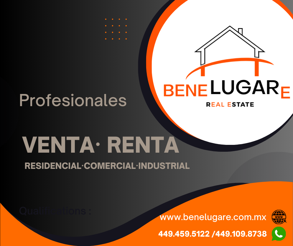 Imagen 10 de 10
