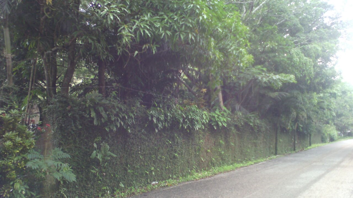 Terreno alto a orilla del Río Puyacatengo en Villa Vicente Gro, Teapa Tabasco - foto 2
