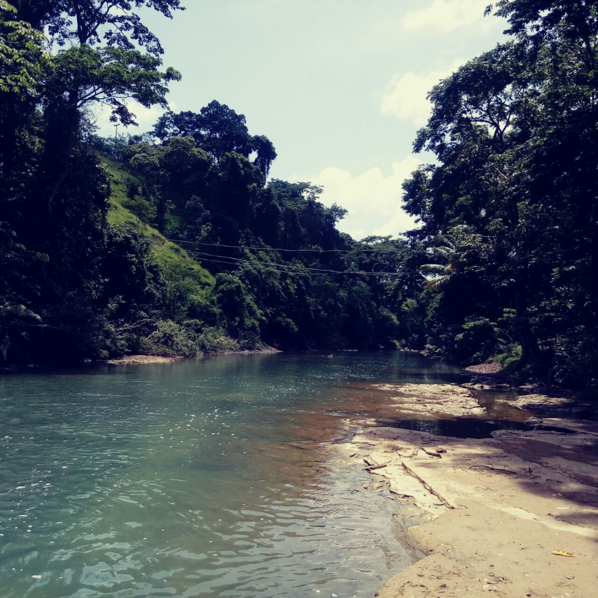 Terreno alto a orilla del Río Puyacatengo en Villa Vicente Gro, Teapa Tabasco - foto 4