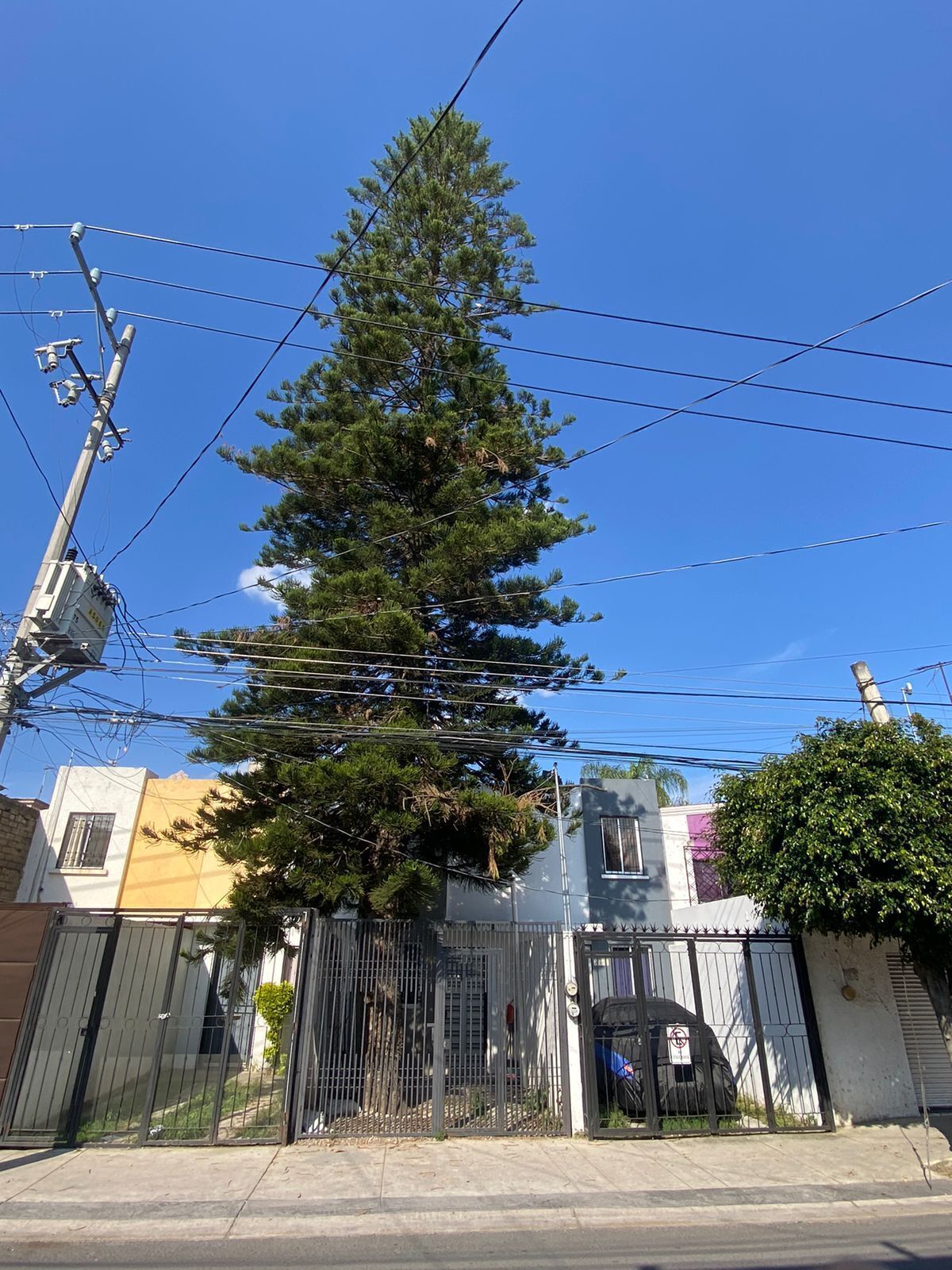 Casa en Renta en Nuevo México