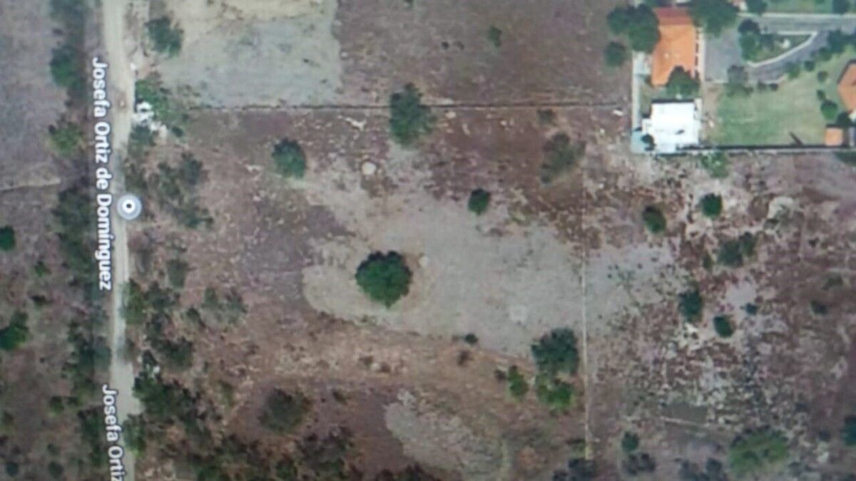 Imagen 3 de 4