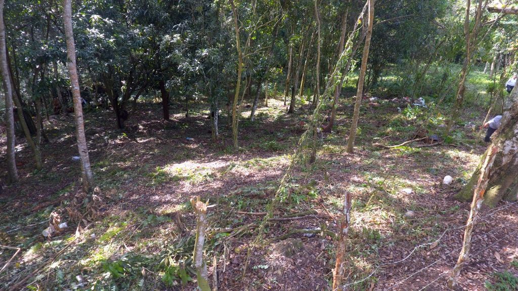 Lot in Lomas Lindas