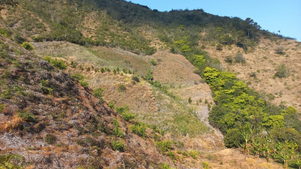 Lot in Constanza