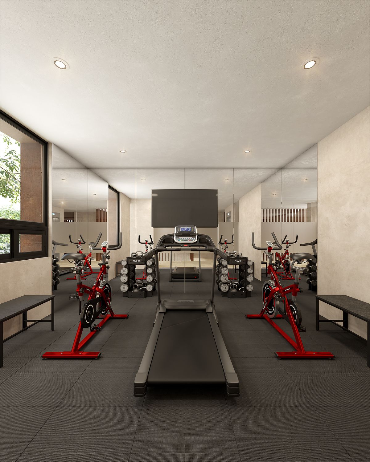 5 de 7: Gimnasio