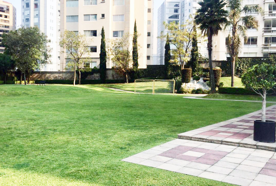 17 de 20: Jardin