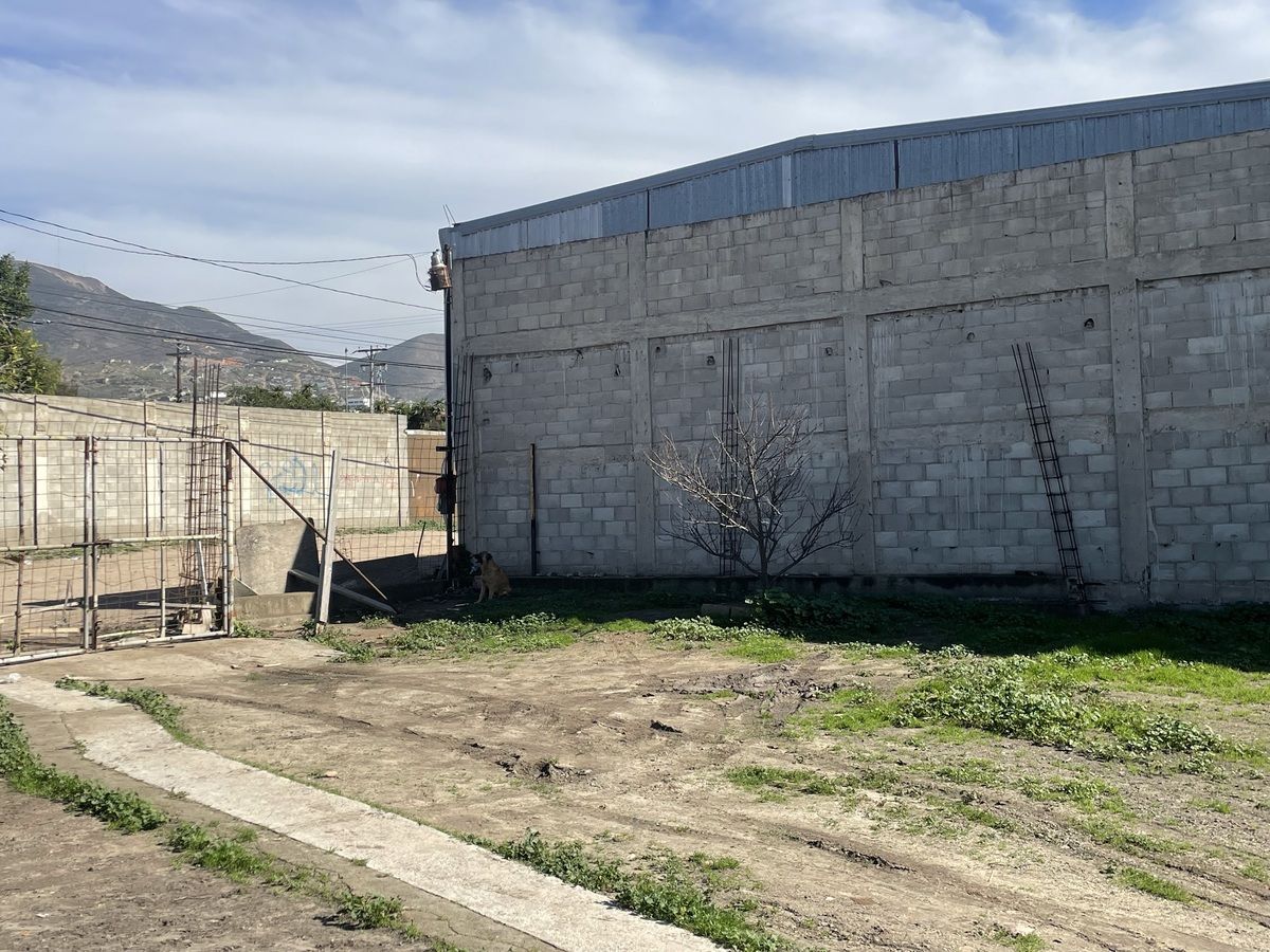 8 de 14: Frenetic, estacionamiento