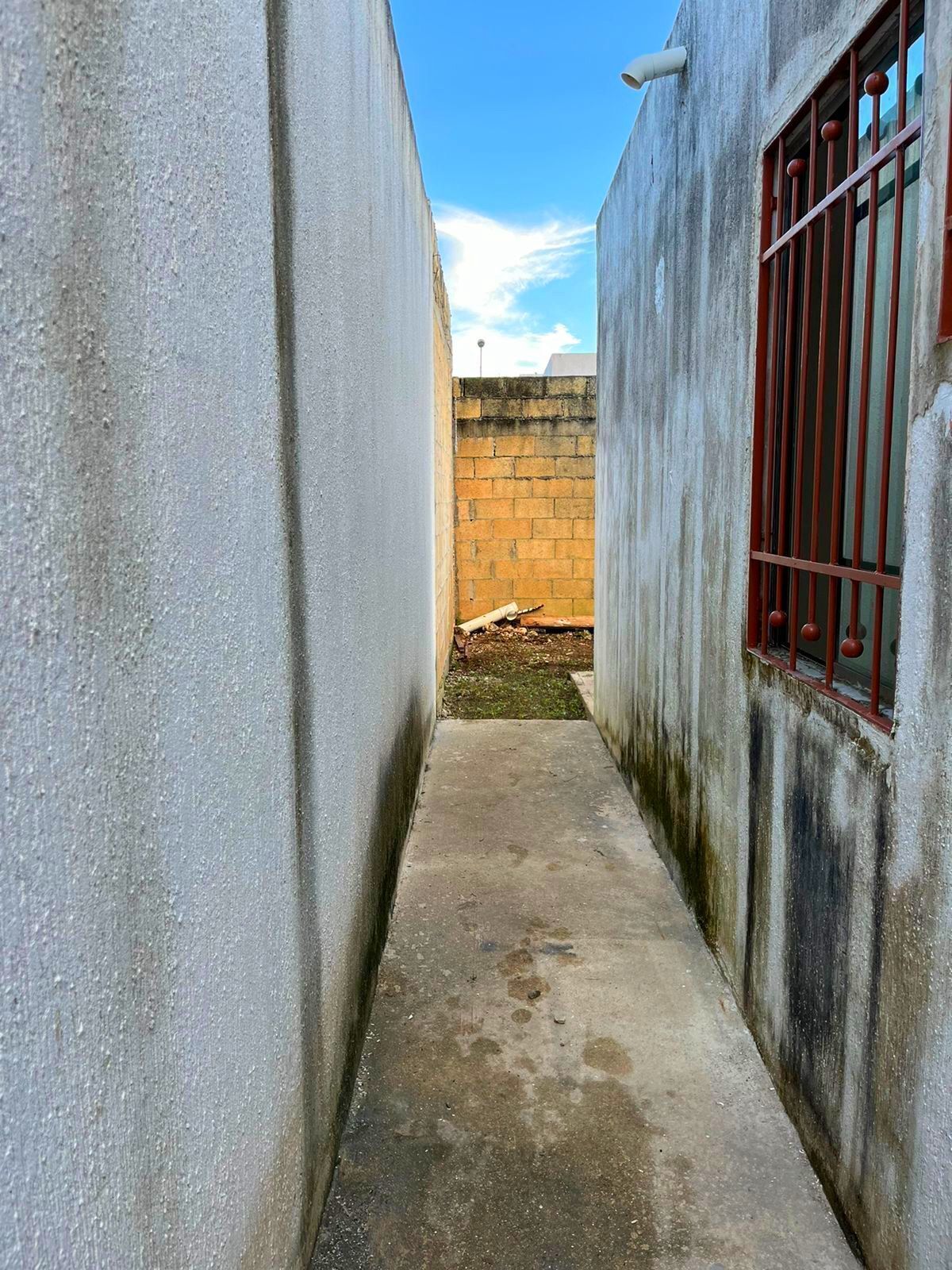 13 de 14: Pasillo lateral