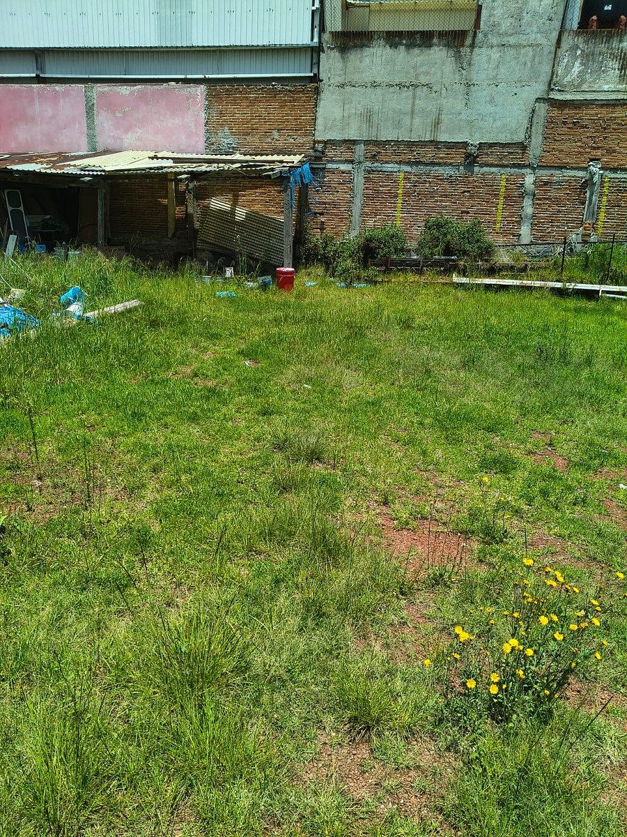 Terreno en La Merced (Alameda), Toluca, foto 12 de 15