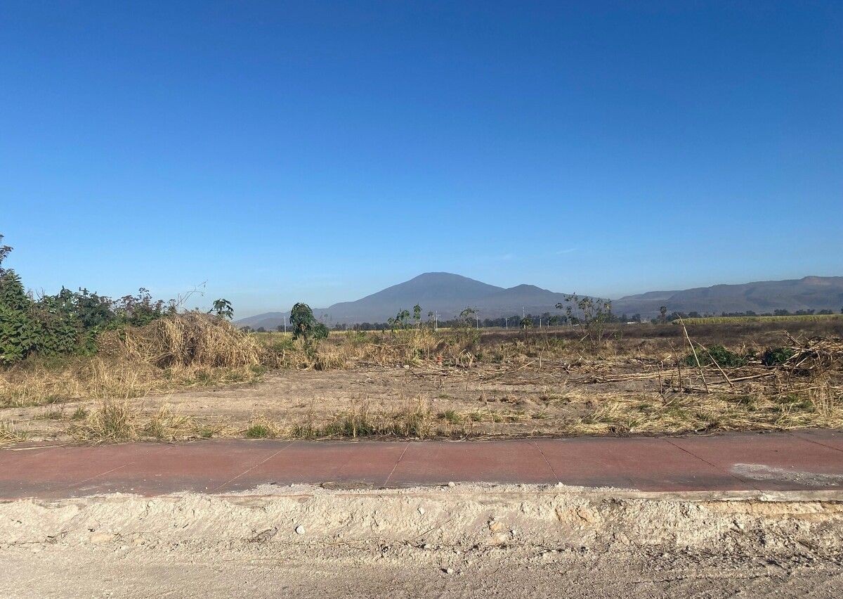 5 de 38