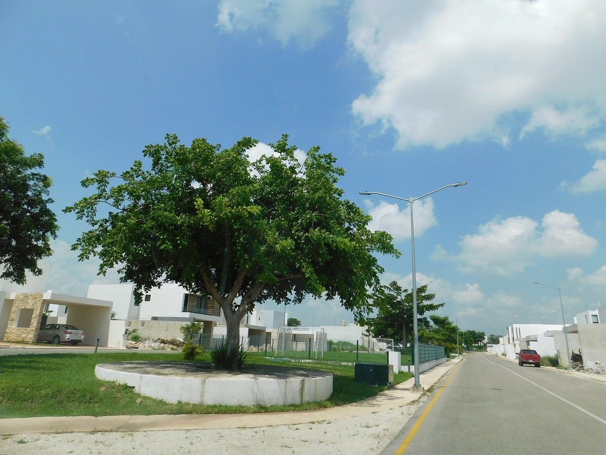 Casa em Conkal, Conkal, foto 15 de 26