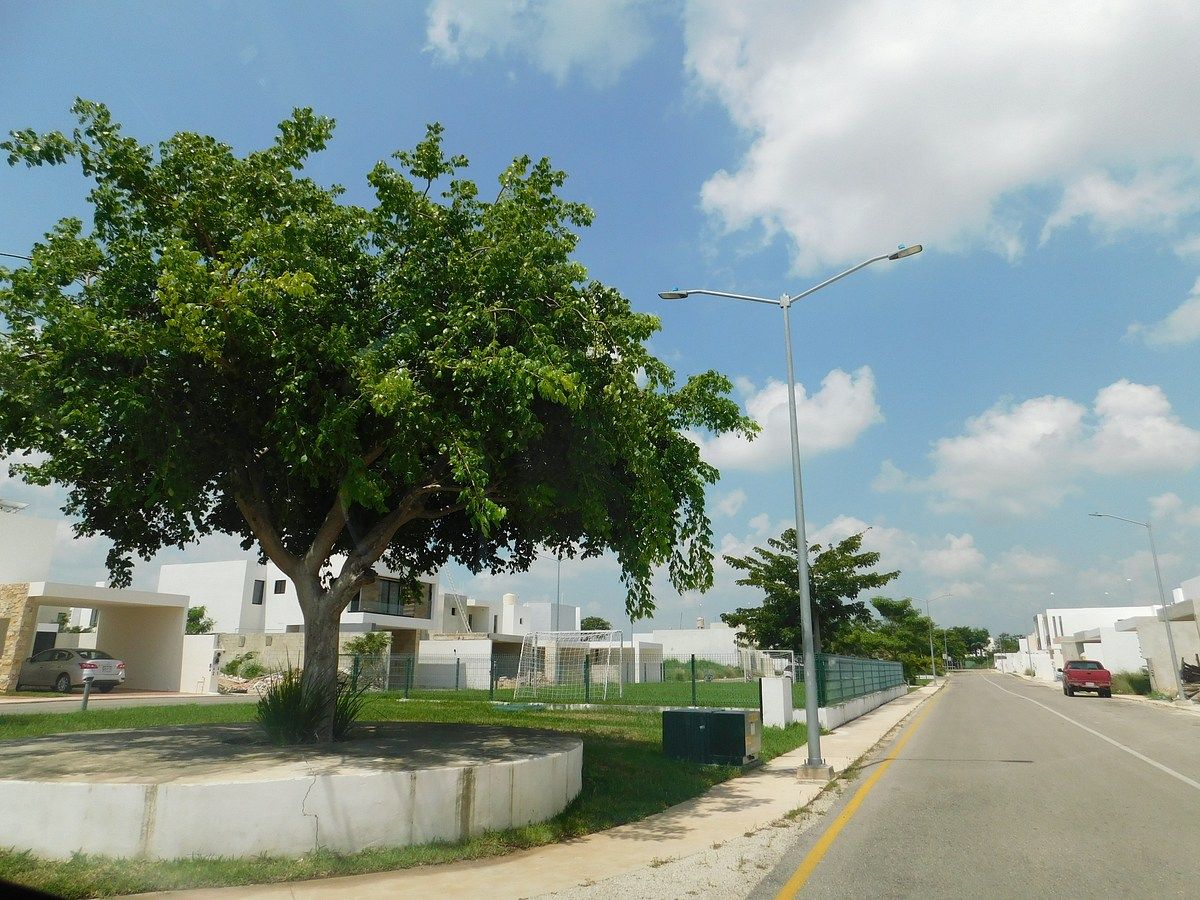 Casa em Conkal, Conkal, foto 23 de 26