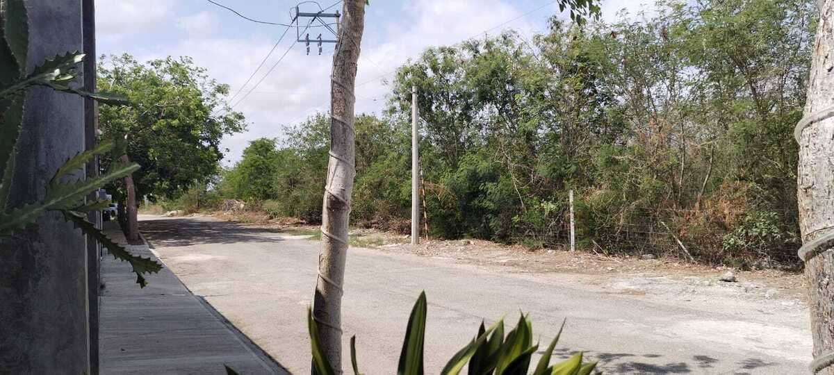 5 de 12: Zona con factibilidad de luz