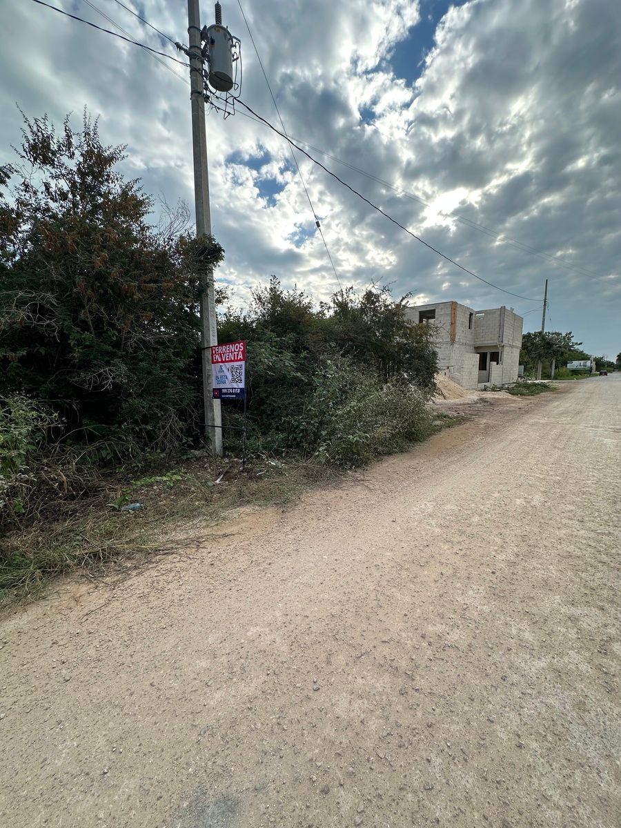 3 de 12: Algunos lotes tienen calles blancas