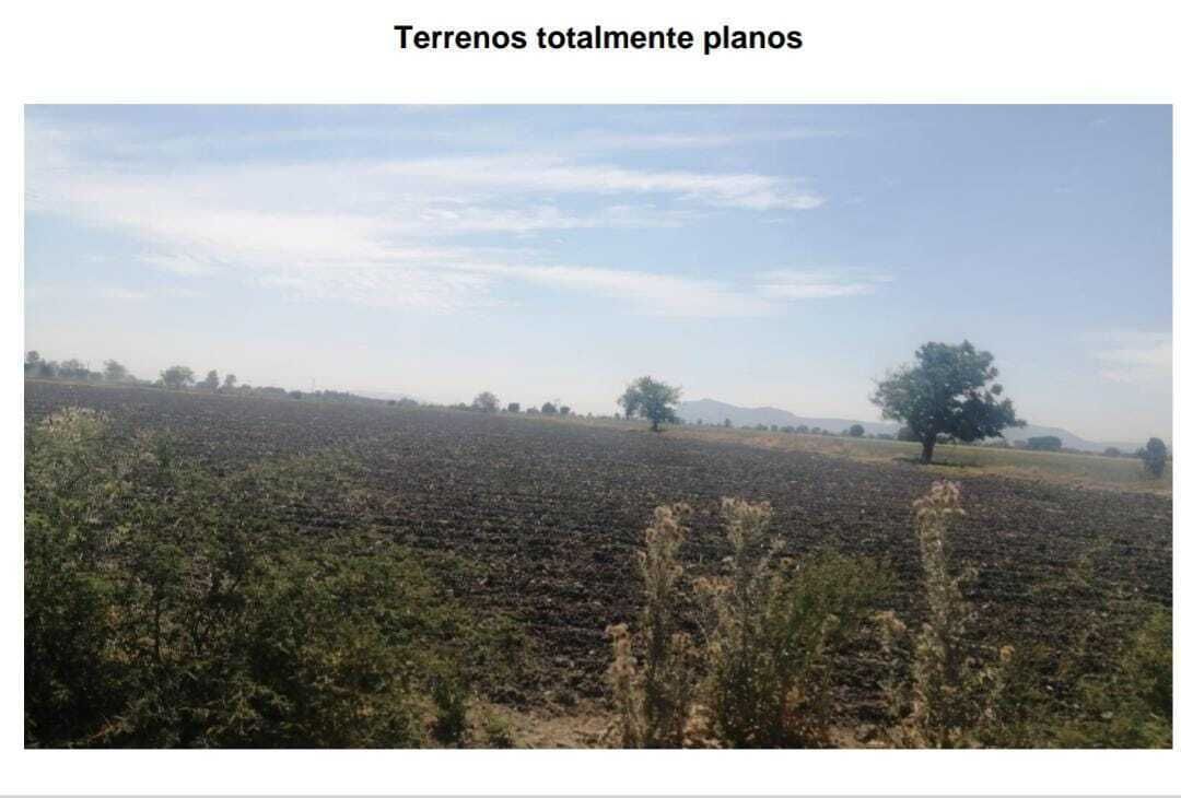 4 de 7