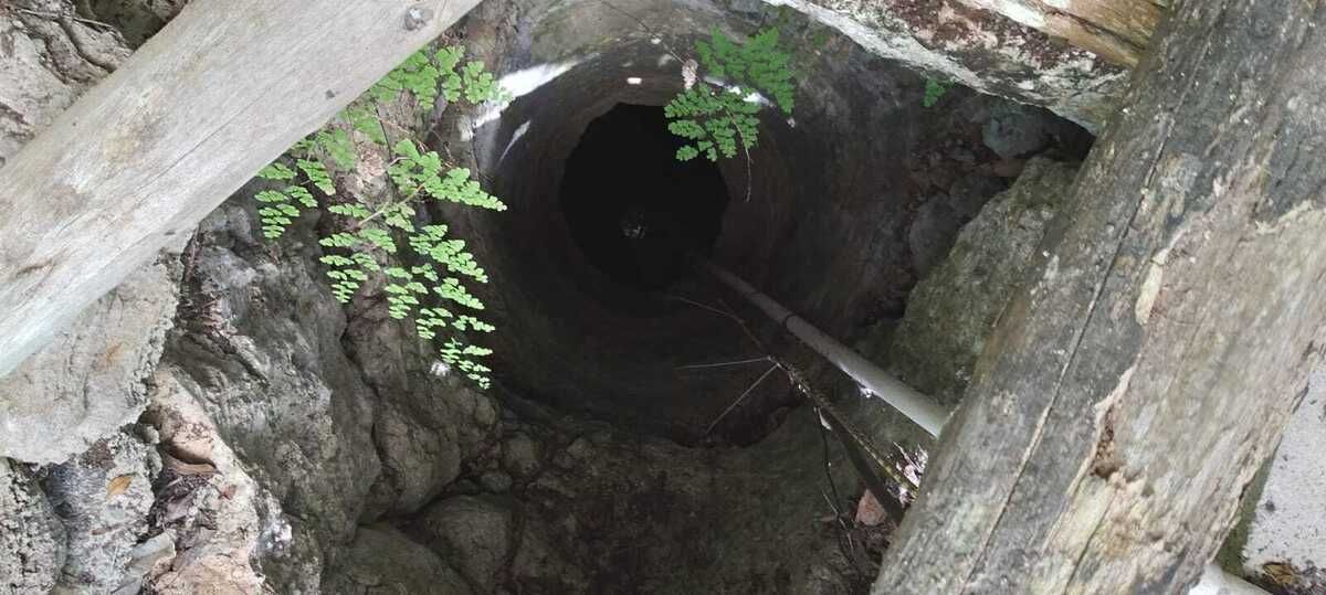 -