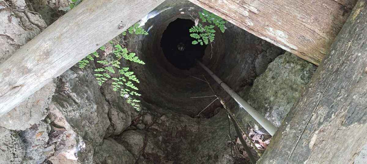 -