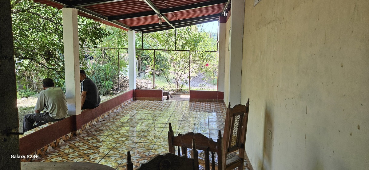 Property view 12