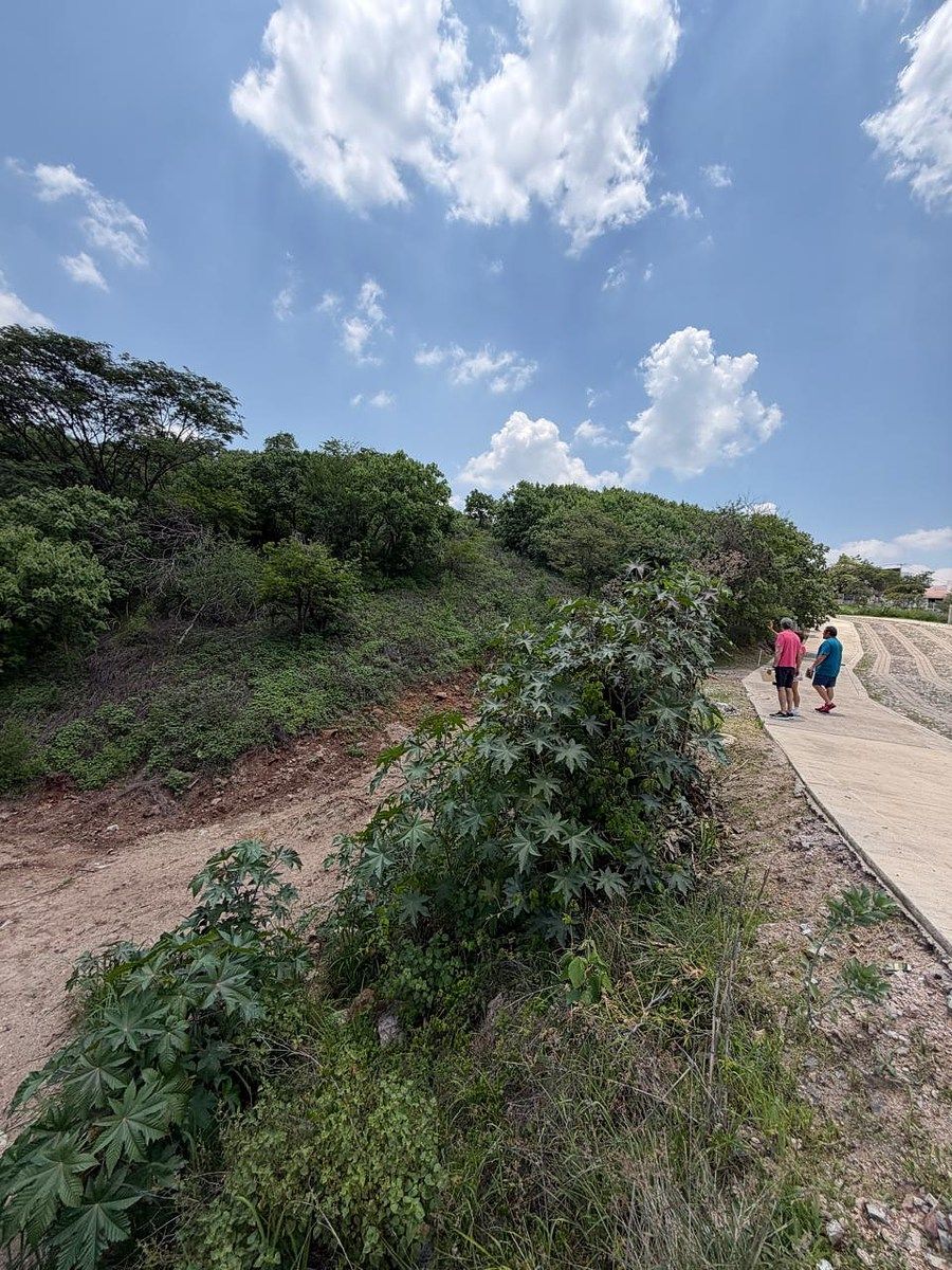Lote em Las Cañadas, Zapopan, foto 7 de 20