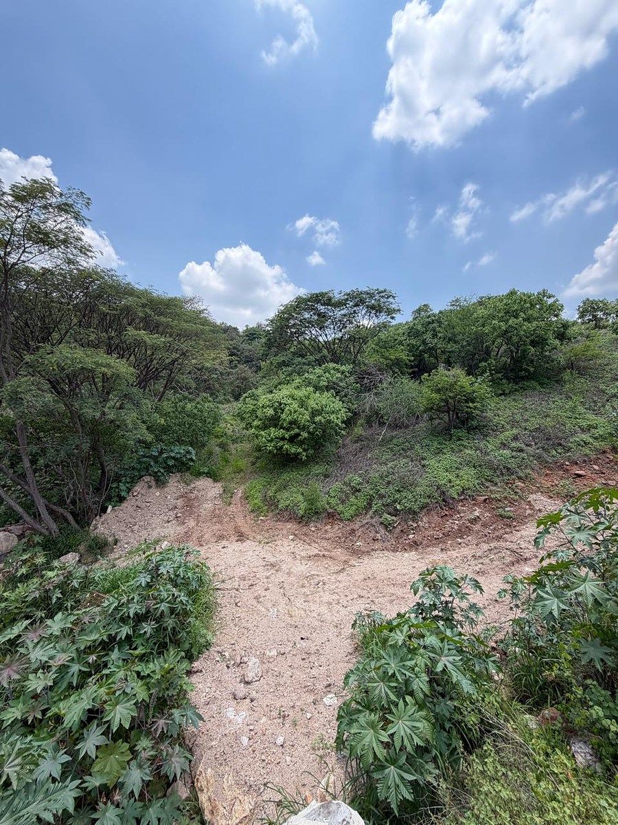 Lote em Las Cañadas, Zapopan, foto 2 de 20