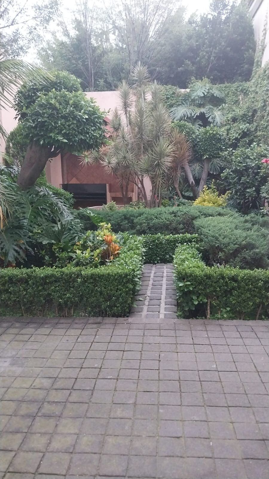 12 de 14: ÀREA DE ASADOR