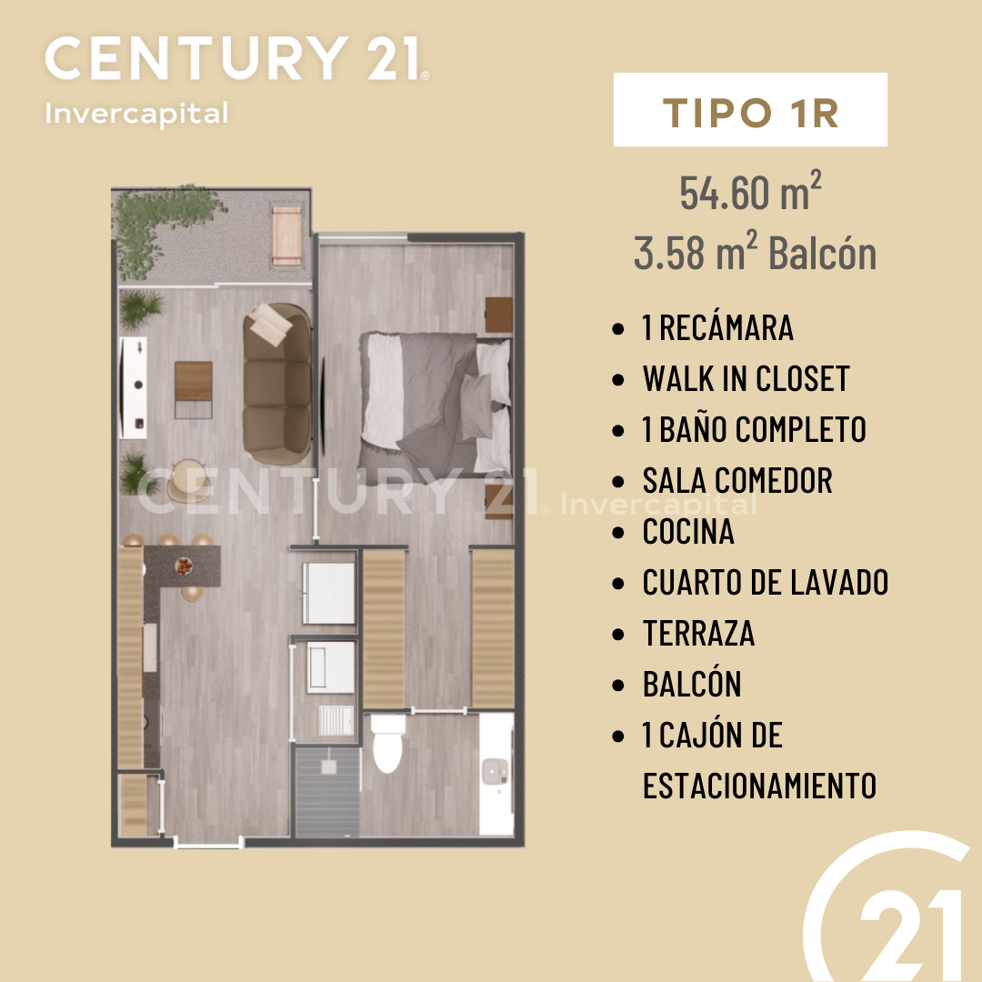 Imagen 4 de 10