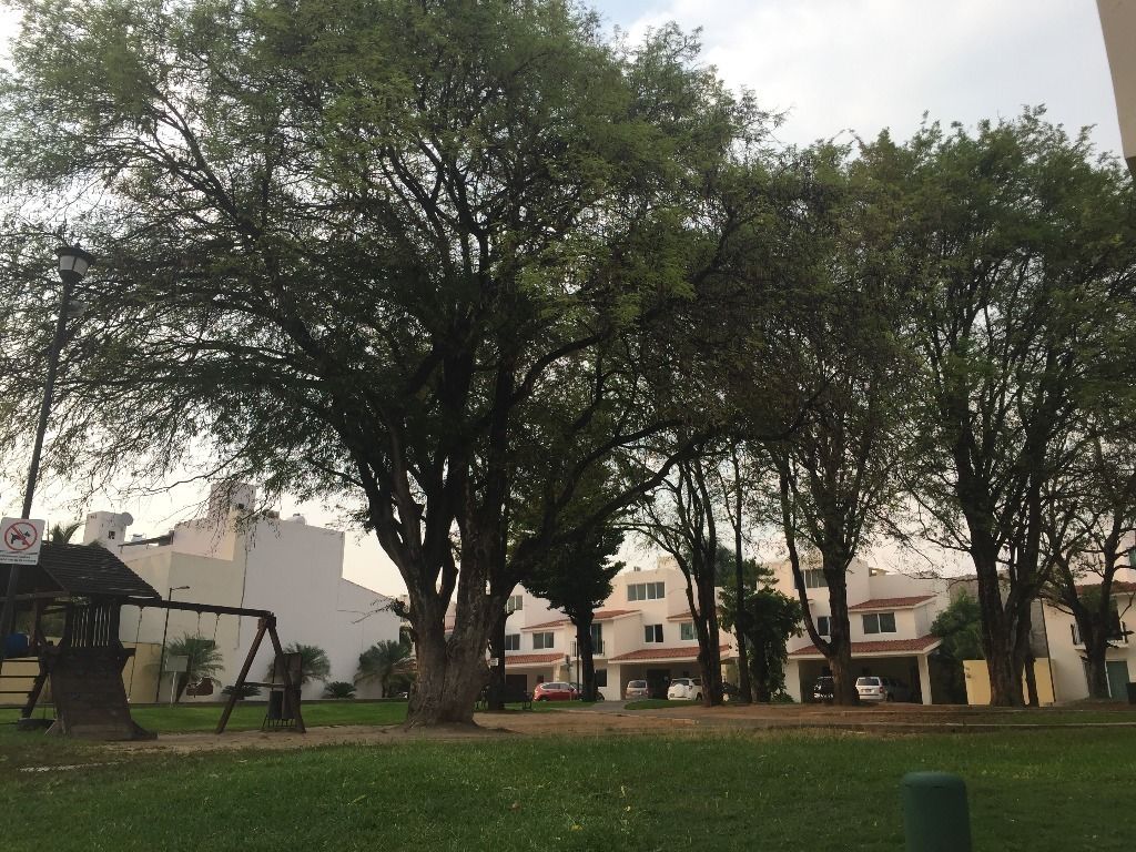 10 de 16