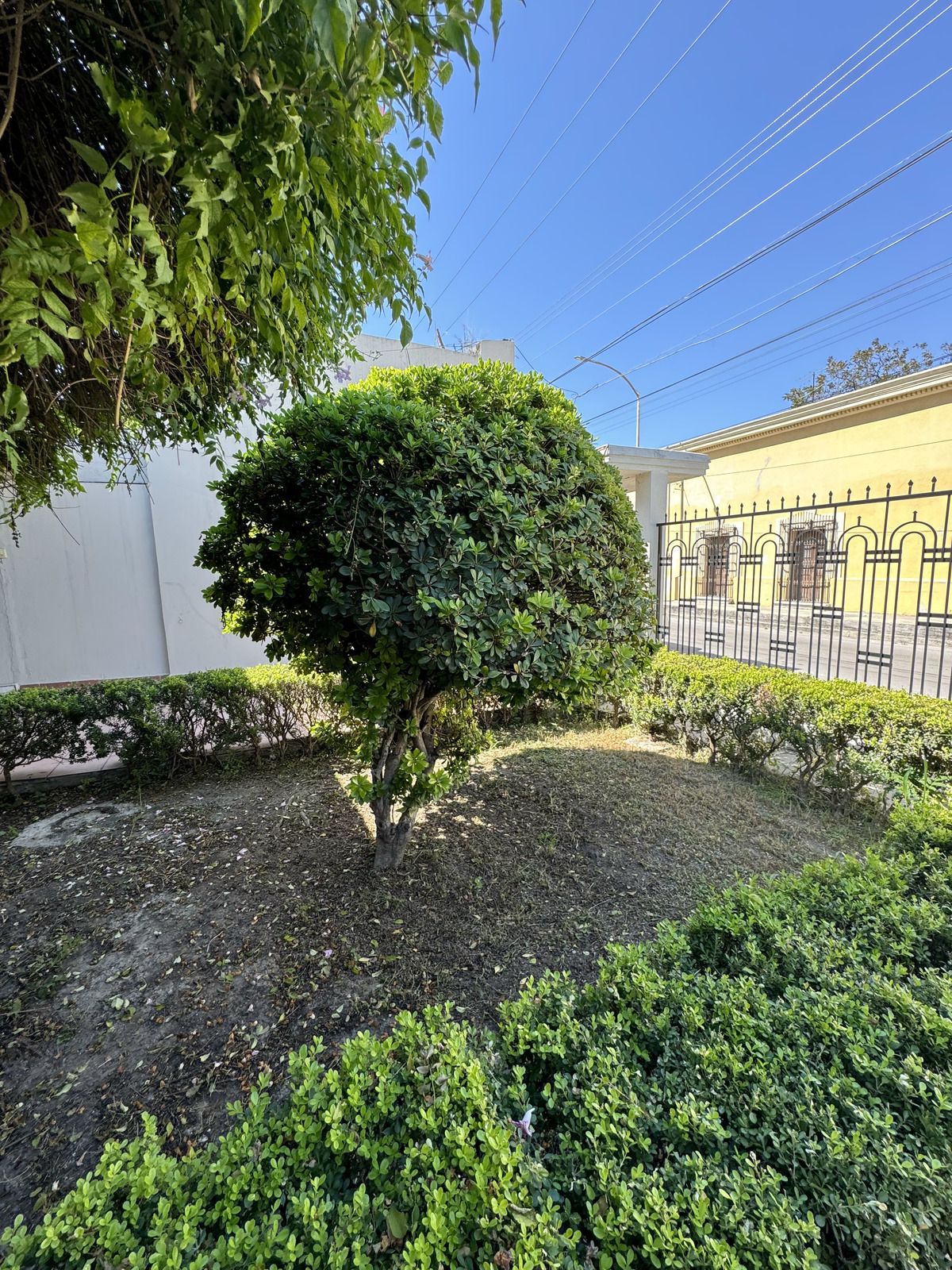 3 de 8