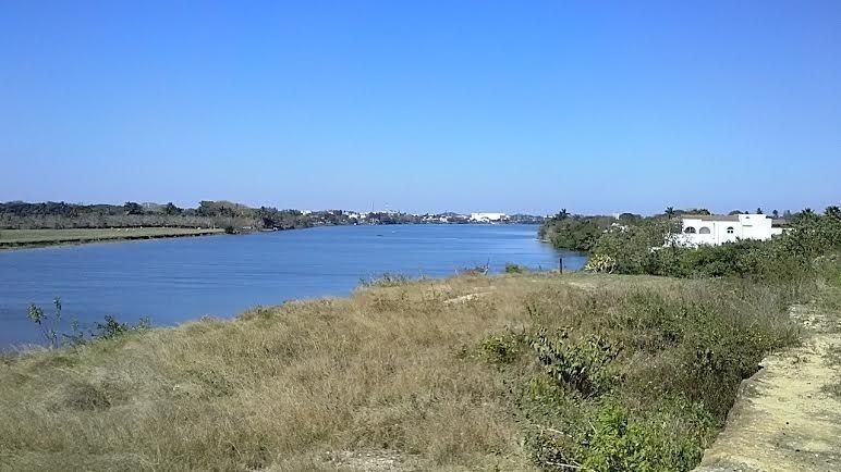 Imagen 3 de 10