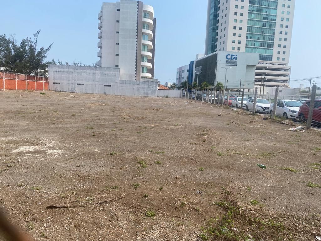 Imagen 3 de 5