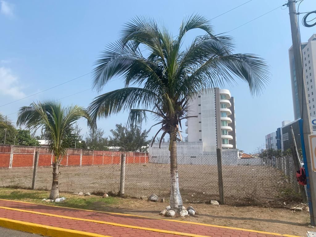 Imagen 4 de 5