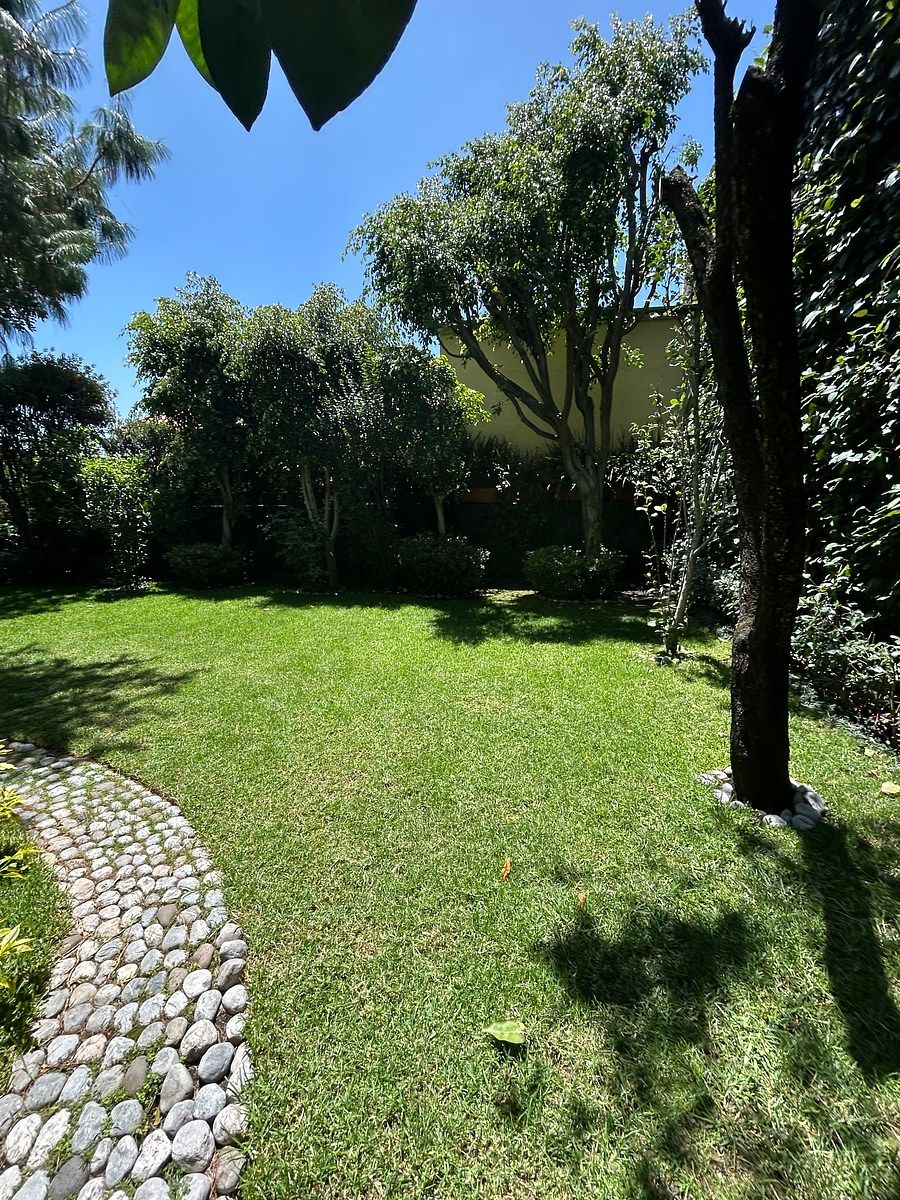 Casa en condominio en Jardines del Pedregal, Álvaro Obregón, foto 32 de 48