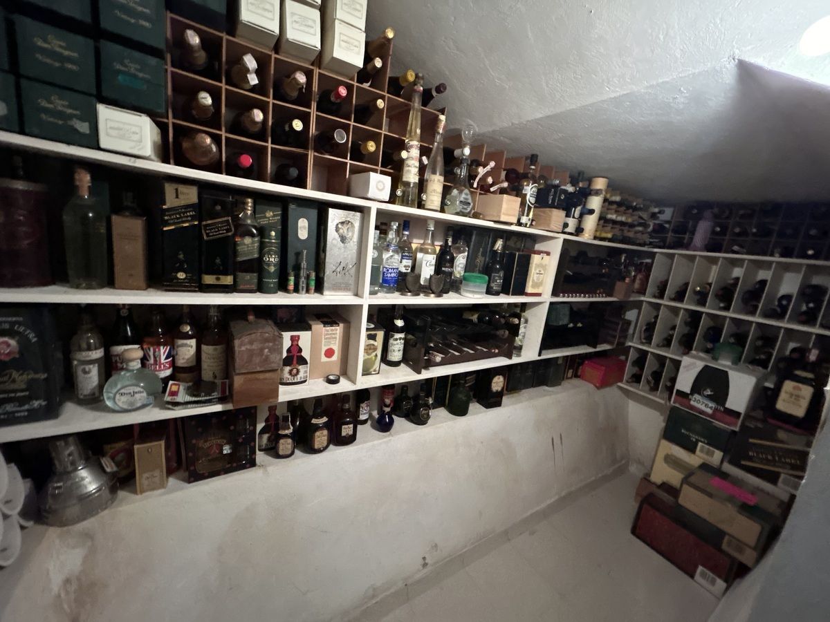 csvs, foto 6 de 48