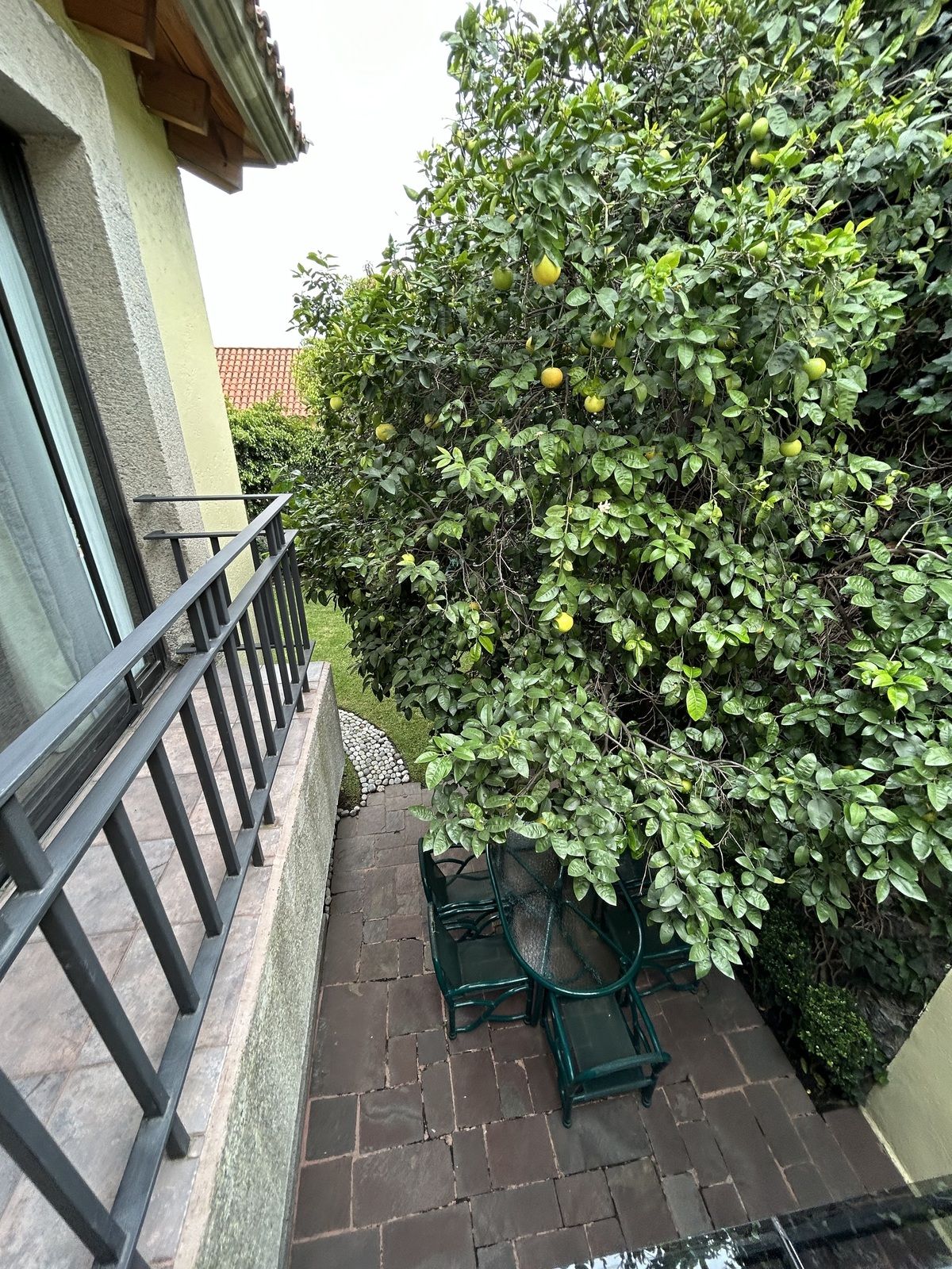 23 de 50