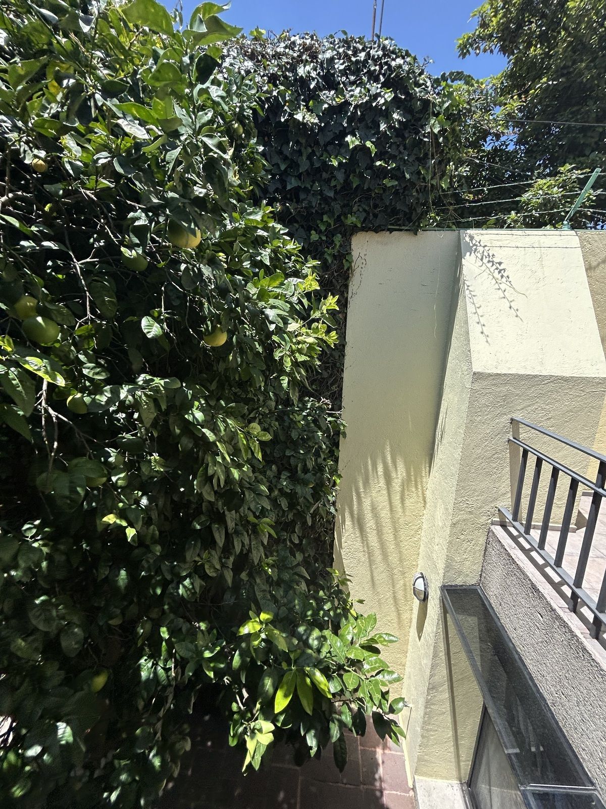 49 de 50