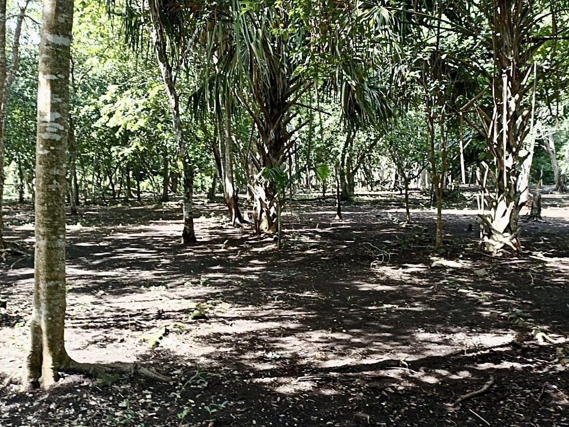 1 de 2