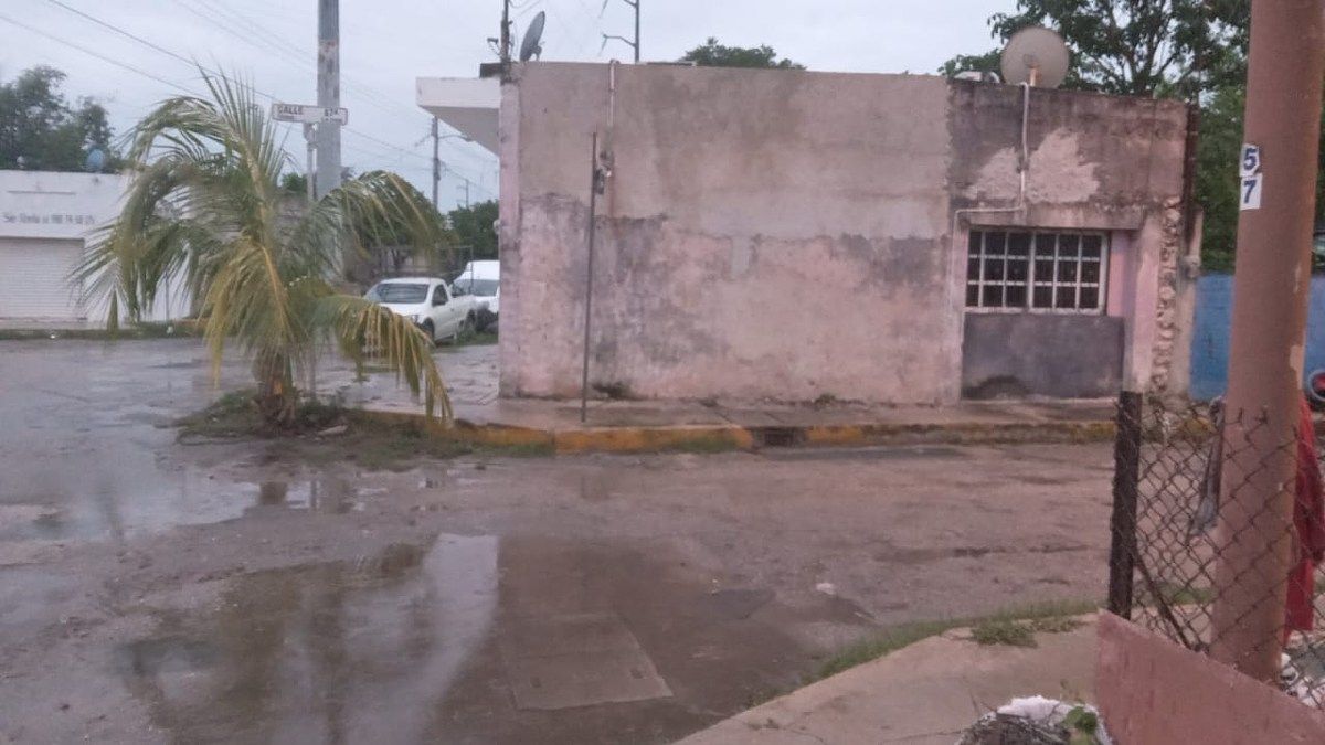 House in Mérida Centro, Mérida, photo 18 of 22