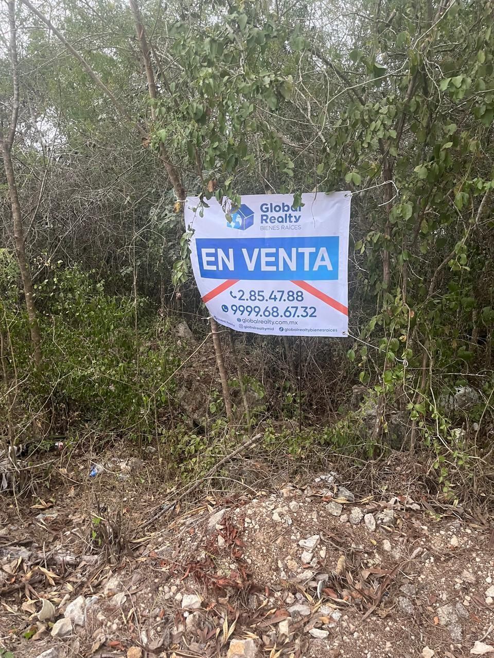 Terreno en Venta en Conkal, Mérida - foto 3