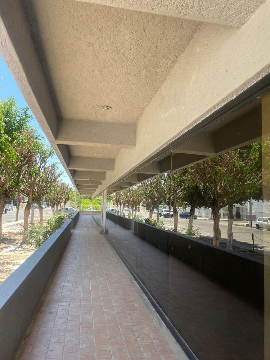 Local comercial en García Gineres, Mérida, foto 15 de 25