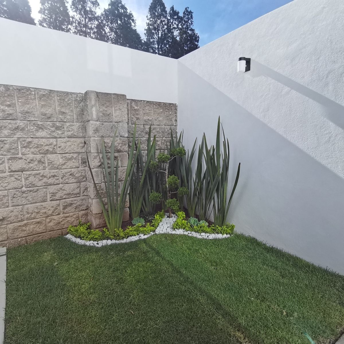 11 of 31: Jardín