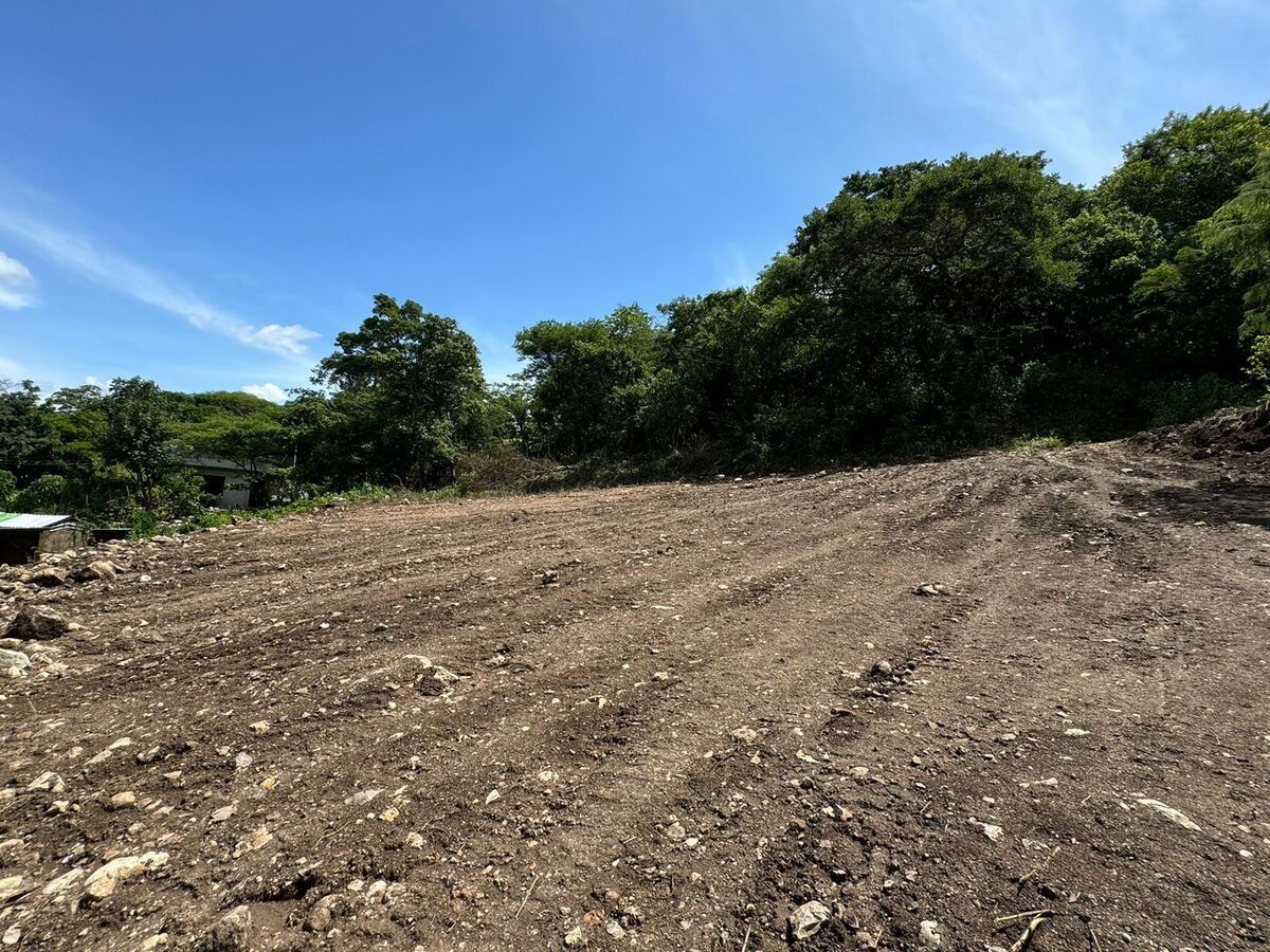 2 de 5: Lote