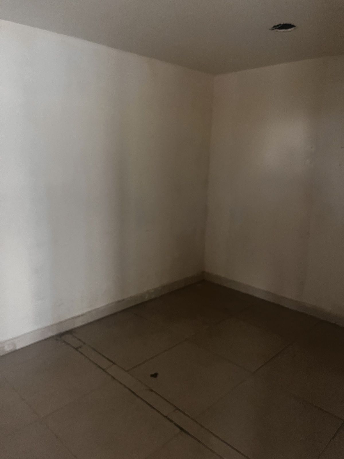 13 de 13: LOCAL RENTA CENTRITO