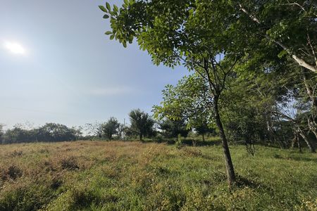 TERRENO À VENDA A 5 KM DAS RUÍNAS, ZONA HOTELEIRA.